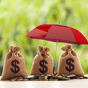 Money bags with dollar signs and a red umbrella - Serving Immigrants