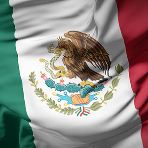 The flag of Mexico - Serving Immigrants