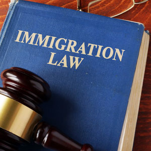 Determining Immigration Status